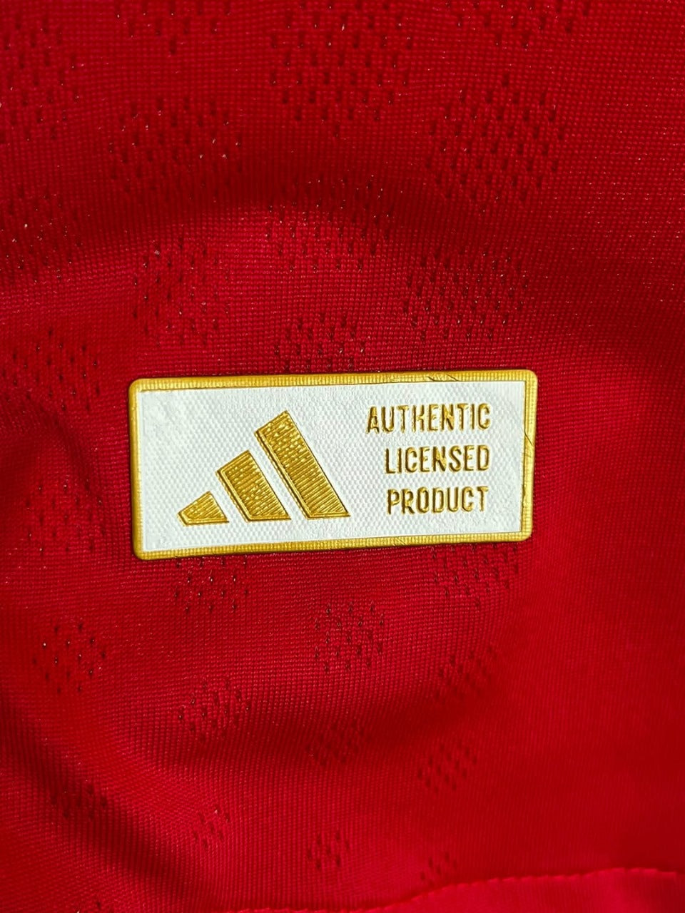 Liverpool Home  - Player Version