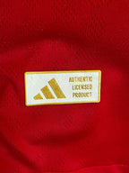 Liverpool Home  - Player Version