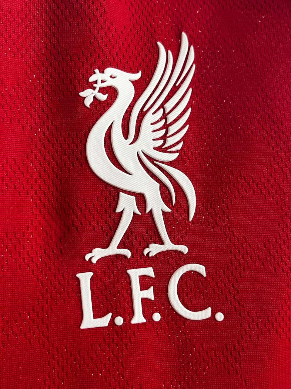 Liverpool Home  - Player Version