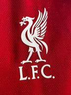 Liverpool Home  - Player Version