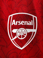 Arsenal Home - player version