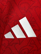 Arsenal Home - player version